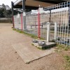 Dog Park-4 in Sasebo, Japan