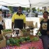 Tukwila Village Farmers Market-veg