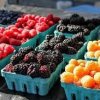 carnation farmers market-berries