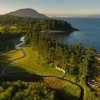 San Juan Islands-trees