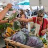 Everett Farmers Market-red cabbage