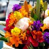 Des Moines Waterfront Farmers Market-flower