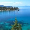 south lake tahoe- beale afb- trees