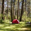 Camp Site in Tacoma, Washington State