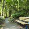 Forest Park Area in Everett, Washington