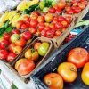 Brazos Valley Farmers Market-tomato