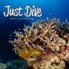 Reef Encounters - MCAS Iwakuni- dive