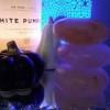 Sand Dollar Spa &amp; Massage Lakewood- rocks
