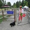 Wapato Dog Park in Tacoma, Washington State