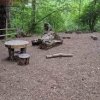 Tacoma Nature Center-JB Lewis-McChord-wooden table