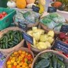 Pasco Farmers Market-chili