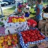 Stevenson Farmers Market wa-fruits