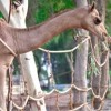 Al Areen Wildlife Reserve in Bahrain