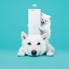 Softbank