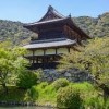 Kinunkaku Pavillion Iwakuni tress