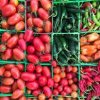 Lynden Farmers Market-tomato