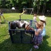 Beach Party Ponies &amp; Barnyard Petting Zoo-cowboy hat