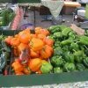 Sammamish Farmers Market-bell pepper