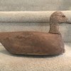 ATLANTIC WILDFOWL HERITAGE MUSEUM-bird2