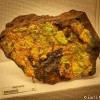 Museum of Geology rapid city-rocks