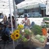 Shelton Farmers Market Wa-music