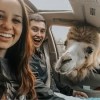 Explore Georgia