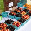 Leavenworth Community Farmers Market-cherries