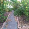 Urban Xeriscape Garden-patway