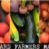 Hillyard Farmers Market-cucumber