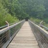Tacoma Nature Center-JB Lewis-McChord-steel bridge