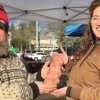 West Seattle Farmers Market-vendors