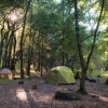 Sugarloaf Ridge State Park Travis AFB- campsite