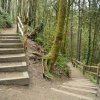 Puget Creek Natural Area-JB Lewis-McChord-stairs