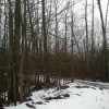 seeley lake park lakewood wa- snow