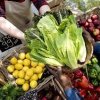 &#039;s Market-romain lettuce