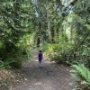 olympic view park silverdale-trail