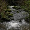 Puget Creek Natural Area-JB Lewis-McChord-falls