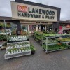 Safeway Lakewood Washington- plants