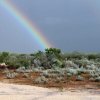 La Cardosa Ranch Texas-rainbow