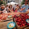 dupont farmers market wa state-fruits