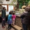 Tacoma Nature Center-JB Lewis-McChord-children