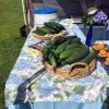 silverdale farmers market wa-cucumber