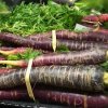 Seattle Central Coop-carrots