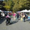 Mercer Island Farmers Market-stall