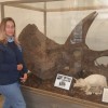 Museum of Geology rapid city-fossil