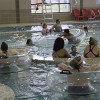 PPP-Open-Swim