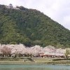 Iwakuni Castle-3