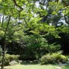 Navy Gateway Inns and Suites - Commander Fleet Activities Chinhae