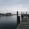 Spesutie Island Marina 1