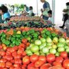 Northeast Washington Farmers Market Colville-tomato